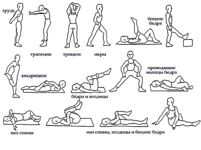 Рис.2. Упражнения на заминку для быстрого восстановления мышц