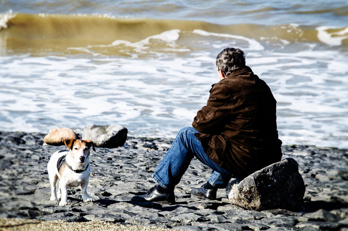 Фото: wallhere.com