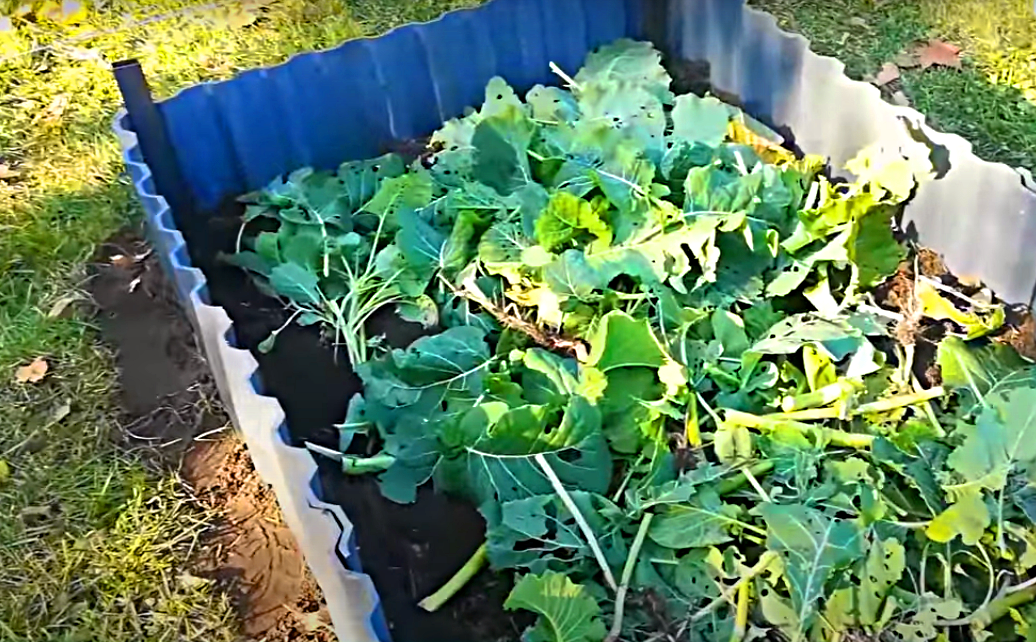 Пример такой грядки.