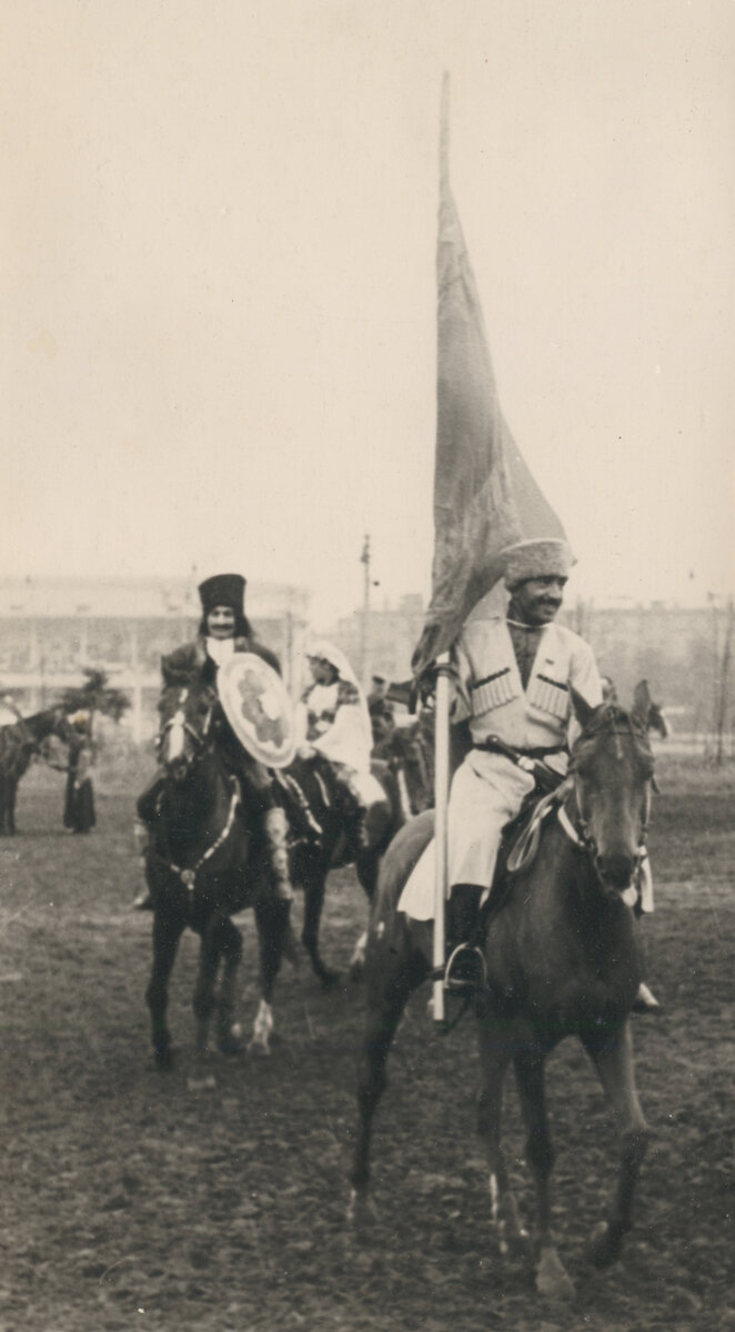 Благородство крови: история карабахской породы лошадей
