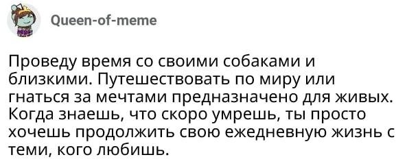 Хорошо, когда ты можешь провести беззаботно свои последние месяцы жизни.