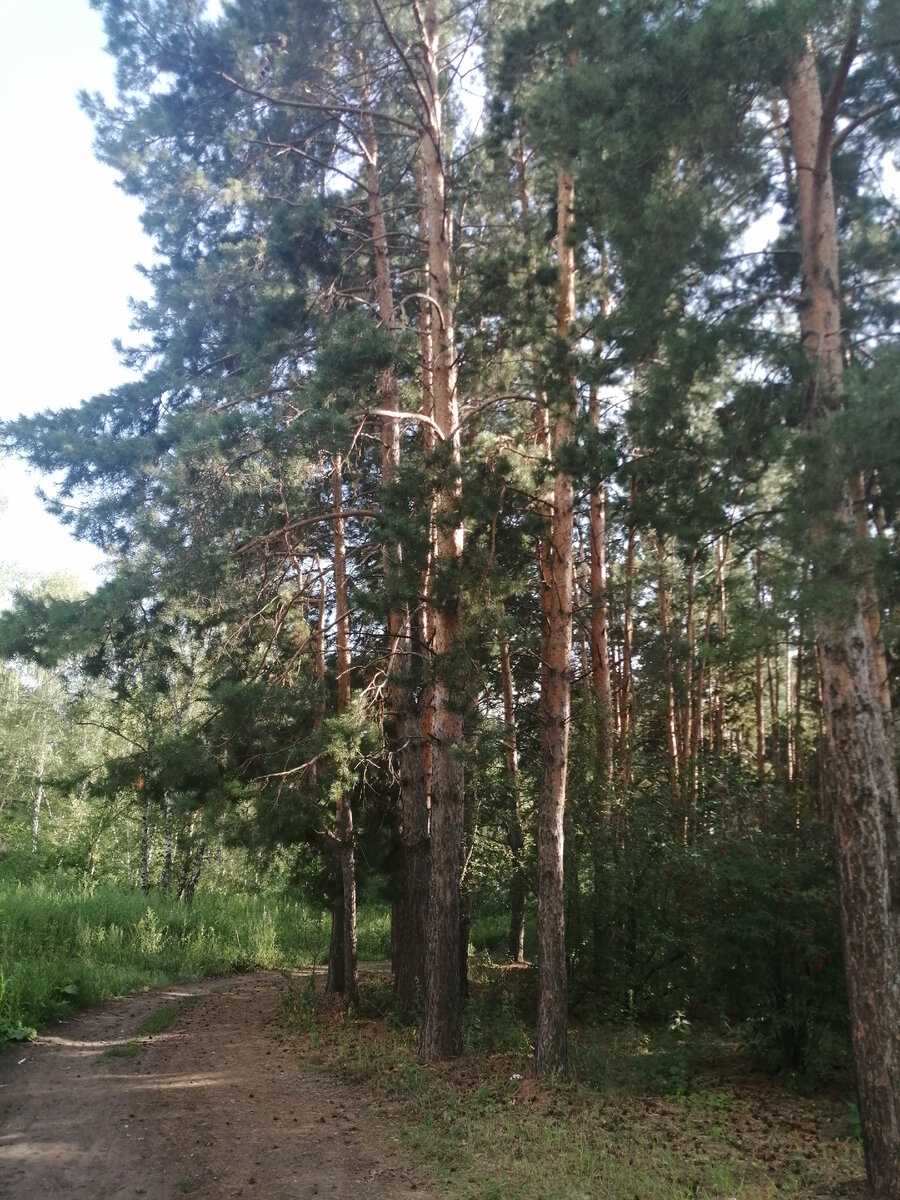 Красота же...