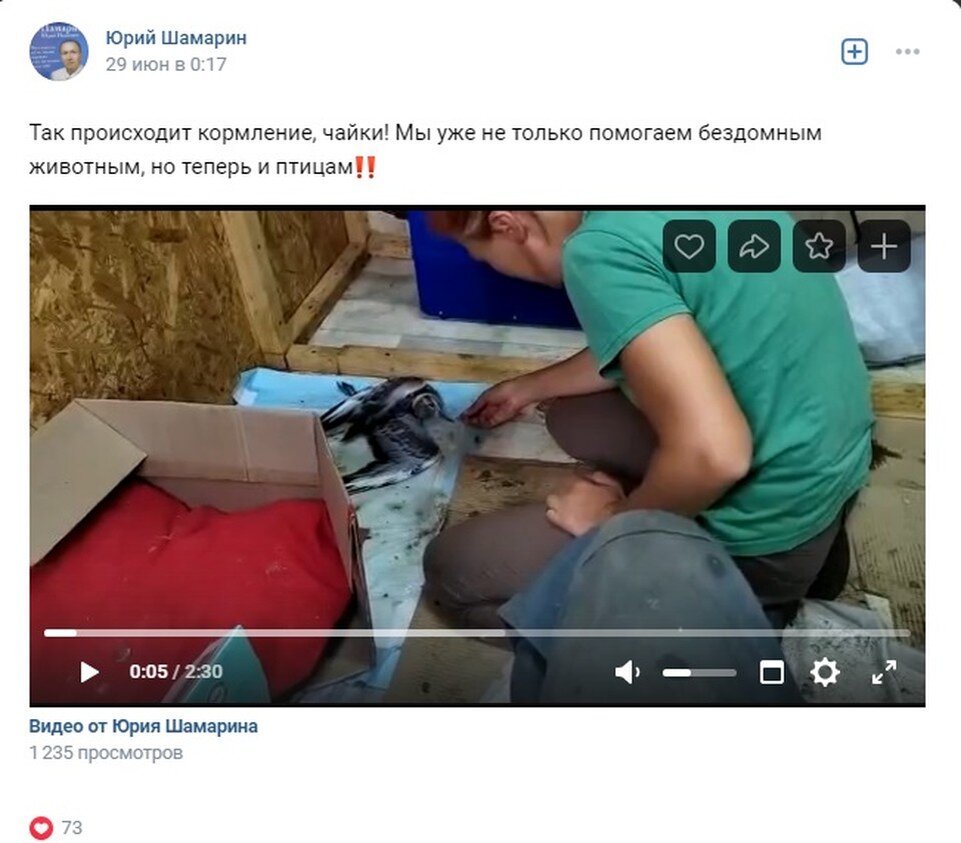    Скрин с видео со страницы Юрия Шамарина в соцсети "Вконтакте"