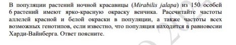 Так выглядит формулировка задания в демоверсии