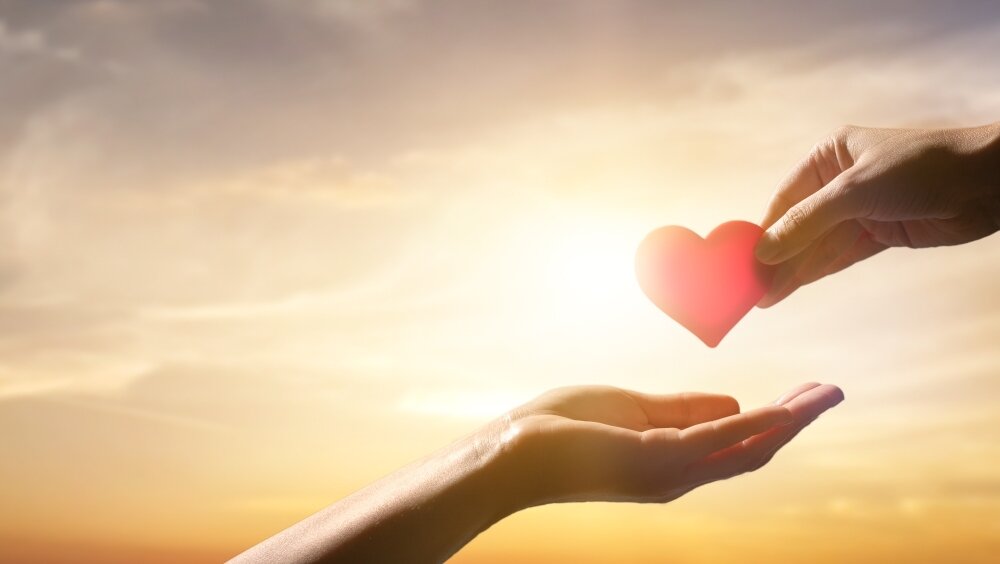    Фото: Shutterstock