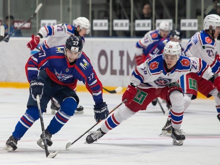     Пресс-служба МХК "Академия Михайлова"