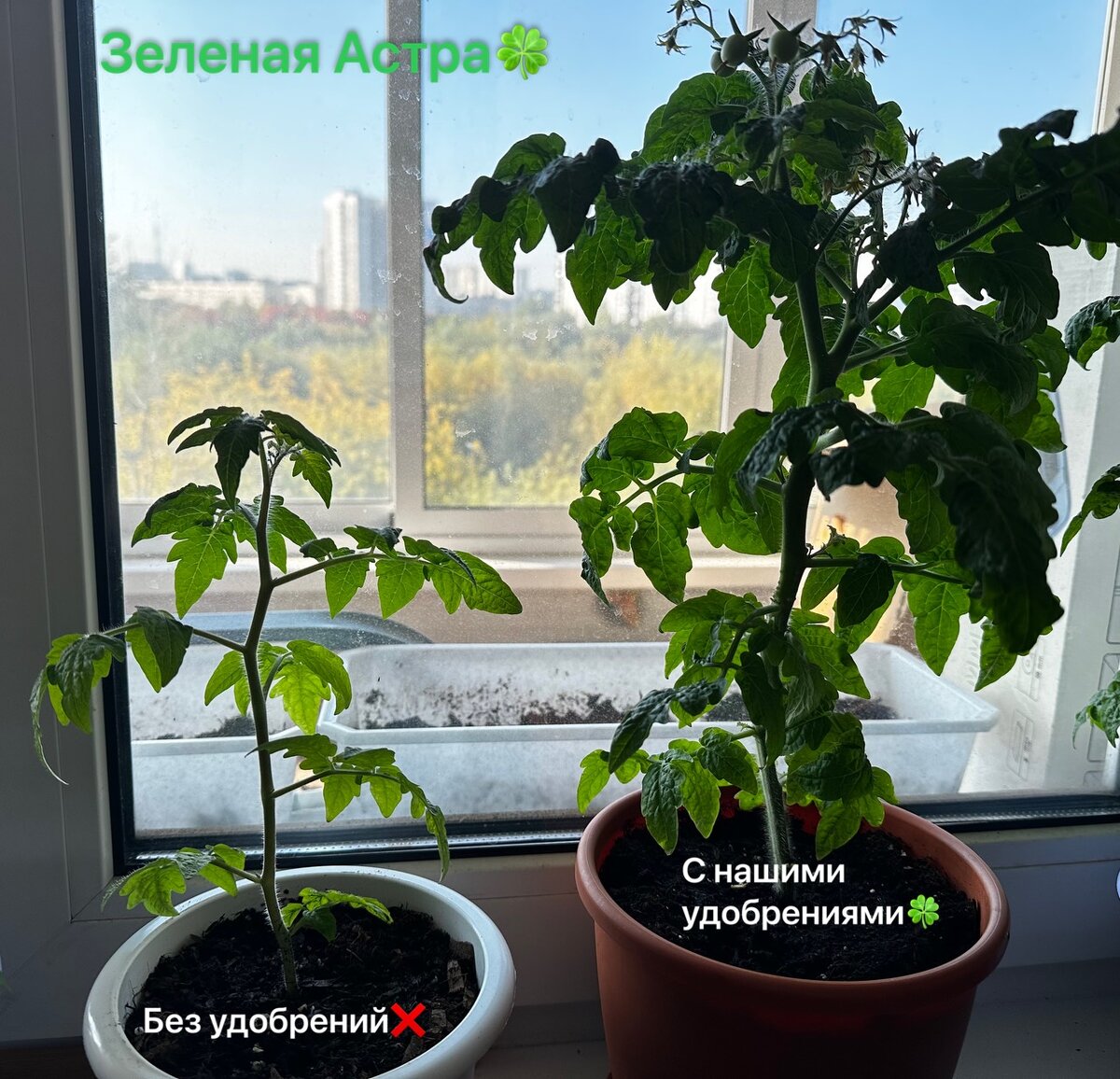 Вот мой небольшой эксперимент 