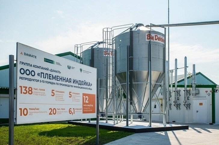      © Фото из открытых источников