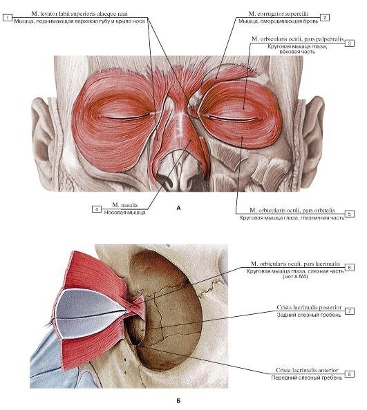 Мы легко делимся негативом – где нас обидели, где нахамили, где не поняли. При этом совершенно не помним тех, кто приоткрыл нам дверь, уступил очередь или просто улыбнулся. Мы собираем всякую гадость – в телевизоре, интернете, социальных сетях. Кого посадили, кого убили, кого обманули, кто развелся. Это все даже искать не надо – оно продается лучше, поэтому все газеты и СМИ этим пестрят. Мало кому интересны семьи, которые живут спокойно и счастливо, рожают детей и любят друг друга. 
А потом весь этот негатив нужно куда-то деть. Он разрывает нашу душу, которая не предназначена для того, чтобы хранить всякий мусор. И мы начинаем жаловаться. На правительство, налоги, цены, дороги, соседей, начальников, мужей, детей…. Тому, кто подвернулся под руку. Случайному попутчику. Знакомой, которую встретили на улице. Подруге. Маме. Мужу. Детям. Неважно.

Так может хватит собирать в мире негатив? Может быть, стоит перепрограммировать свое решето, чтобы в нем собирались только радостные новости? Может быть, начать радоваться? Радоваться тому, что у нас есть. Радоваться тому, что хорошего произошло? Перестать жаловаться на страну и правительство. Мы имеем ровно то, что заслуживаем. Такую страну, такие дороги. От переливания из пустого в порожнее ничего не изменится. Мир может измениться только если в нем будет больше довольных и счастливых людей. В этой стране можно жить. В ней есть свои преимущества. Например, то, что до многих из нас нет дела никому. Что на нас не стучат соседи, у нас пока что массово не отбирают детей, у нас есть простор для развития бизнеса. И люди у нас душевные, искренние. Да, травмированные. Да, немного озлобленные. Но на самом деле очень добрые и чуткие. Если позволить им проявить эти качества.

Перестать жаловаться на начальника. Какого заслужили – такого получили. Смысла от перемывания его грязного белья не прибавится. Нет совершенных людей на этой земле. Но этот человек платит вам зарплату, а это означает, что он заботится о вас. Вам бы, конечно, хотелось большего и лучшего. Но это не нам решать. И попасть на его место, пока вы не научитесь его уважать – невозможно.

Перестать обсуждать всех вокруг. Заниматься своей жизнью, а не смотреть сериалы чужих жизней. Кто с кем, кто кого, кто куда. Осуждать богатых – самим никогда богатыми не стать. Обсуждать знаменитых – никогда не добиться успеха в жизни, ни в чем. Осуждать семейных – никогда не иметь семейного счастья. Осуждать тех, кто оступился, — самое страшное. Потому что когда вы оступитесь – а в этом мире все оступаются – вам никто не подаст руки. Жить чужой жизнью вроде как более безопасно и интересно. Но бесперспективно. Поэтому лучше заняться собой. И видеть в людях хорошее. Даже когда этого хорошего мало. Оно все равно есть.

Перестать жаловаться на своих родителей и свое детство. Давайте честно. Наши детские обиды часто высосаны из пальца. Да, нам редко говорили о любви, пытались переделать. Но большинство из нас выросли в обычных семьях. Где их кормили. Одевали, учили. Моему поколению не знакомы послевоенная разруха, голод, репрессии. Многое из того, что пережили наши родители, прошло мимо нас. А это было страшнее во много раз. А мы по тридцать лет переживаем из-за трактора, который нам не купили. Или из-за родительской критики. Любили как умели и могли. Не бросили, не сделали аборт, не морили голодом. Дали жизнь. И спасибо за это!

Перестать жаловаться на мужей. Подавляющая часть жен недовольны тем, что муж не помогает или не уважает или оказывает мало внимания. Но пробовали ли вы быть благодарными ему за то, что он вообще есть?

Перестать жаловаться на детей. Уж как мы их любим, но даже при такой любви – жалуемся. Спит плохо, ест плохо, занимается фигней, спортом не интересуется. Дружит непонятно с кем, учится плохо, дерется, не слушается. Детская площадка иногда является таким огромным сосредоточением мамского нытья. Не удивительно, что дети нас не слушаются. Они же тоже люди. Они чувствуют, как мы к ним относимся. Слышат эти жалобы. И все понимают – уже с пеленок.

Видеть их сильные качества. Уметь терпеть их капризы, кризисы, трудности. Не делать их причиной всех своих бед. У кого-то вообще нет детей, они молятся, мечтают, проходят болезненные операции. Не гневите Бога – цените маленьких солнышек, которые к вам пришли! Перестать читать все то, что наполняет вас негативом. Читать только то, что вдохновляет. Смотреть то, что помогает вам быть счастливой. Общаться так, чтобы это делало счастливее всех, кто принимает участие в этом разговоре. Слушать то, что приносит радость и оптимизм.

И сами станьте солнышком. Таким солнышком, которое несет в мир только добро и любовь. Если вы будете сосредоточены на позитивном, негативное будет уходить само. Даже не заметите. А накопленными радостями можно и нужно делиться. Радоваться за друзей, за знакомых, за незнакомых, за родных. Вдохновлять других на изменения в жизни своим примером. Вдохновлять своих детей жить более счастливой жизнью. Вдохновлять мужа быть мужчиной даже тогда, когда это непросто. Позволить себе быть счастливой без причины. Просто потому, что вы есть.

Выйти на улицу – и радоваться погоде. Дождь – к хорошим урожаям. Солнышко – согревает и вселяет радость. Радоваться людям, которые вам встречаются на пути. Маленьким чудесам, которые случаются постоянно. Радоваться самой себе. Радоваться жизни.

Да, это непросто, Да, будет инерция. Да, не все вас поймут. Да, вам иногда будет очень хотеться поныть. Но это в ваших руках. Вы справитесь. Вы сможете. У вас получится, если вы этого захотите. Просто начать искать хорошее – в мире, в людях, в вещах, в обстоятельствах. Искать хорошее и радоваться ему. Как это делают маленькие дети.
