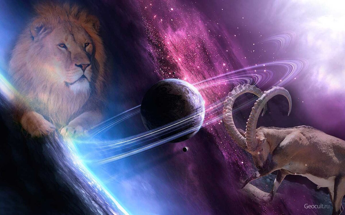 Как долго переживает львица после прекращения отношений?                                                   Через какое время прощает львица?
Что делает Козерог, после расставания? 
Что делает Львица после ухода?
Все вопросы сформулированы и разобраны мной на основе личного опыта.
Отношения мужчины козерога и женщины Льва?
Вся суть львицы


Моя женщина львица, была старше меня на 6 лет, она не имела детей, бала два раза замужем, обеспечена с ног до головы, умна ( наличие двух красных дипломов) красивая, сексуальная, заботливая, отменная кулинарка.
До жути хладнокровная, противоречивая, вспыльчивая, и конечно же нервозна.
Нервозность и истерия этому знаку присуще по природе.

Был знаком с ней 6 лет. Вот 6 лет  назад, знакомство с моим котенком было  осуществлено по соц сетям. 
На тот момент, моим отношениям  с бывшей женщиной - приходил крах, то есть ей настолько было все наплевать, что меня не возмутило то, что пойду встречусь с девушкой. 
И решил увидеться, с моей будущей кошкой.
Когда приехал, увидел котенка, место встречи выбрала она, это был ресторан якитория.
 Угостил ее тем, чего она захотела.
На этой встрече она рассказала - что живет одна, но есть бывший муж, который время от времени ее навещает, и она получает за встречи - некоторую помощь. 

Услышав такое это на первой же встрече, я был удивлен!!!
 во первых удивила - ее правда!!!
 и удивило то,  что она преподносила себя уже  как не свободная.
 И в моей голове тут же  промелькнули мысли,  что она обманывает его и это уже не порядочно, то есть не говорит, что пошла встречаться.  
Либо она доминант в отношениях, и в части бывшего мужа своего –  его не любит.
Она потом неоднократно говорила, что она не обманщица, и что бывший не хотел детей и с ней жить, и что она ему прямо сказала что будет искать мужчину.                                                         Было дело, что в последствии и меня обманула, сказав что была с папой - а была с ним, когда вцепился в это- попросила меня понять ее, что она изначально говорила что есть отношения с бывшим мужем, поэтому я должен был понять почему она сказала что была с папой., а не с ним. Скажу честно, до сих пор этого понять не могу. Считаю либо есть правда, и она во всем, либо это ЛОЖЬ и обман - просто укрываясь некими фактами правдивыми. (но, это мое мнение) 
В эту первую встречу, увидев ее , услышав ее,  не планируя близости, все же не сдержался, и спросил ее в гости, предложил некие средства, но  получил отказ, единственное дала себя обнять.

На этом, я не был опечален, меня ничего не задело, поэтому ситуацию опустил, и уже не писал ей., то есть меня ничего не связывало, обычная женщина со своими тараканами., я просто забыл ее тут же. Она меня не заинтересовала. 
Но, не ожидал, что моя кошечка захотела большего.
И быть может через неделю или полторы, она уже написала первая, писала очень длинные письма, акцент на всякие там качества, которые ей понравились во мне,  и где то ее слова и химия дошли не пойму до какой головы, она пошла на те условия, которые предлагал ранее,  и стали уже  общаться плотнее.   
Это было может месяц, может больше, и наконец-то мы снова встретились, поехали в ее однушку, она была чистоплотна, но и сам показал ей справки (вич, сиф, хламидии и остальное), утаив что был гепатит. Гепатит – вирусная инфекция.
В последствии наши отношения усиливались, я чаще встречался, и за каждую встречу благодарил., меня это устраивало, и как то спросил, почему от тебя уходили мужья- она ответила что из за ее характера. 
У нее было два мужа, и оба прожили менее года.

Еще тогда не понял всего, а именно ее характера., что это не котенок, а целый ХИЩНИК.
Отношения переросли в ее предложения о проживании у нее, и я согласился.
Жили ровно неделю, пока мне не написала бывшая, и которой я ответил. Там не было измен с моей стороны, но какаю истерику закатила моя кошечка - было нечто. 
Пример мы ехали на моей машине, а она пыталась ухватиться за руль, и спровоцировать ДТП.

 Приехав домой, я забрал все свои вещи из ее квартиры, уехал, она написала несколько писем и успела пообщаться с бывшей  моей женщиной, так как оставил контакт или она запомнила, (этого не помню), мне стала жалко кошечку, так как посчитал что не прав,
 и она просила мат помощь на анализы, отступные  так как бывшая рассказала ей о моем гепатите, - я перевел, и она успокоилась. Обвинив меня в лжи. 
  Она не заразилась. 
С этого момента, мы расстались окончательно на целых  5-6 лет, у нас не было близости, за исключением того,  что на протяжении всего времен мы редко, но общались ( 1-3 письма раз в 6-12 месяцев)., без намеков на близость, т.к ее стал бояться. 
За это время  сам уже  вылечил свой гепатит, была тяжелая терапия, и слава Богу его  уже нет.

К этому времени - мои отношения с бывшей  женщиной с которой жил, были прекращены так как хотел ребенка, а она не хотела, и чтобы как то забыться, снова написал Львице (своему котенку), уговорил ее подарком небольшим, и она стала меня поддерживать в общении, затем  мы увиделись, потом были свидания. Был на эмоциях, и отдать должное - котенок помог мне забыть бывших. 

Мне было комфортно жить в своей двушке, и было предложено жить у меня. А она предлагала жить у нее, так как жила уже в новой своей квартире в трешке. 
Это меняло дело, так как изначально ее однушка для меня была тесной, и напоминала траходром.
Со временем мои чувства, были усилены, и я уже ревновал ее  к отношениям с бывшим мужем.
Тогда  она предложила жить у нее, сказав, что бывшего уже не будет,  и мы стали развивать эту тему, на материальной почве, (то есть как жить, на какие средства,  какой бюджет, кто кому и так далее) но не смогли  договориться – и  поругались.
Она приехала ко мне и требовала прощальной ночи, 
я ей отказал, тогда она меня ударила, я ее ответил тем же но слабее, и в это время она вызвала полицию,  наговорив что  была мной изнасилована день назад, по приезду полиции, меня из своей же квартиры вместе с ней отвезли в отдел, она стала писать заявление, мне было нелегко, стыдно, и когда нас оставили двоих я предложил ей деньги, согласившись - перевел ей 50 тыщ рублей, чтобы та забрала жалкое заявление. 

Она была обеспечена сама во всем, заслуга правда ее родственников, но не важно, при этом успевала работать, это к тому, что не нуждалась ни в чем, хорошо одевалась,  дорогих брендов, и у меня не было возможности  ее обеспечивать с таким размахом.
После полиции, я козерог принял решение, что все- решил что больше писать и звонить нет смысла, и она успокоилась что ее оставили.
Через неделю, она написала сама  и  под угрозой возобновления заявления – попыталась повлиять на примирение, так еще пообещала, что возьмет за свой счет машину, купит на свое имя, но буду  управлять сам.

В итоге я согласился, и естественно чуть позже она заявила о моей корысти, и тема машины была закрыта!                                                                                                 пришлось согласится, так как она мне не особо и нужна была, а зная что если расстанусь, так еще и попаду на  новые проблемы, поэтому отказался от этой идеи. А машина была своя у меня, правда старая.
В итоге, мы все таки обговорили условия, которые обоих устроили, каждый месяц на продукты с меня 20 тыщ.
Стали жить, все помогал ей по дому , по даче  (уборка, ремонт, иногда готовка, возил ее  и так далее) она в свою очередь заботилась, готовила еду, и была верной.                                 ( в последствии правда ни раз она  говорила, что  также заботилась бы  о каждом мужчине) в любом случае, что было,  то было -  и мне это главное нравилось самому. 
Заботилась хорошо, лучше кстати  бывших.
Купил  значит себе квадрокоптер, так как мы стали ездить по странам, каждый сам за себя платил за путешествие, правда  еду и прочее платил уже за свой счет на двоих.
Она всегда говорила, что в любовных утехах (сексе) – самый лучший и это правда., об этом узнал позже, установив камеры!!!
Но в канун уезда, увидел что общается по ватсап с мужчиной, отправляла фотки ему и тд.
Был скандал, что в аэропорту чуть обоих не задержали, затем помирились, все по удаляла, и больше такого не было с ним., но была скрытая писанина оказалось  уже на почте  с другими мужчинам, чего не зал, а узнал позже.

Вернувшись стали снова жить,  у меня был офис, нужно было решать рабочие дела, но она якобы почувствовала холодность, стала звонить, писать мне в метро, и дошло до угроз что выкинет мой дрон.
 Приехав из офиса домой - она выбросила мой квадрокоптер в помойку, и сломала его. Естественно я расстался, мне было жалко свою дорогую игрушку.

Она возобновила отношения с бывшим мужем, а сам купил билеты в  заграницу.
Когда созвонились, она рассказала что в отношениях, а я, что улетаю отдыхать.
Находясь в Турции – она часто звонила и снова угрожала., правда в знак примирения оплатила за квадрокоптер -моим родственникам -перевела им деньги, но так как за все время, за все наши разлуки, ее нервные срывы - анализировались родственниками моими, так как она всегда им писала и все рассказывала, то деньги которые она перевела им за мой квадрокоптер я брать не стал, так как посчитал это как подарок, за то что они натерпелись, от моего котенка.  
Вернувшись в Москву, снова стали общаться, она стала меня обвинять что были контакты у меня в Турции, но ей сказал, что были контакты у самой в первую очередь.
  Она предъявила мне , что все это из-за меня., так как   не примирился. 

Снова затем  сошлись, так как  уже стал бегать  за ней.

 Мой котенок - футболит бывшего мужа, и мы живем вместе с ней.   Она не хочет чтобы я работал, ревнует, поэтому фрилансерствую, и также 20к в месяц за продукты. Особо меня не обвиняла, что мало денег даю, но при этом говорила что из 20 К-10 уходят на меня,                                                                                                                                                      что есть то есть. С этим не спорил.
Я понял, что ее родственники не будут  мне помогать в поисках работы, поэтому начинаю сам искать источники заработков.
Мы снова стали ездить, то по домам отдыха, то на юг, и всегда конфликты, всегда расставались,  и всегда сам бежал к ней, просил вернуться, делал подарки.
Потом мне все доконало, и решил установить камеры наблюдения скрытые, так как знал, "что чуть что,- я не прав, что собираю вещи и ухожу, а потом снова возвращаюсь и она принимает"  и решил что нужно посмотреть, что она там делает в момент расставания, когда меня нет, и тем самым  найти ключ разгадки.                                   Мне было интересно, к чему с ее стороны приводят расставания, стал сомневаться, может это некое отклонение в изменах.                                                                              Так как (читал где-то) , что есть Львицы - которые верные, но за свою верность избраннику не поздоровится, будет выматывать его, звонить, узнавать где он, ревновать, и попробуй ответь не так.....                                                                                      А вот  если  у львицы начался чес, т.е. когда она уже хочет чего-то новенького - она  сама найдет причину на что обидится,-  и сделает это  обвинив любого - кроме себя, и расстанется  официально.  В этом случае, придется  ей повиниться, и просить прощение , не важно права она или нет, если этого не сделать , то разрыв отношений гарантирован.
Скажу честно, что домой она не водила, но то, что сразу звонит бывшему и просит вернуться на прежних условиях- факт, и то что везде с подругами и так далее меня обсуждает, и всегда коверкает обстоятельства.  Потом я проклял тот день, что установил все это, так как был как наркоман, всегда следил, мог не есть, ни курить, а часами заходил смотреть, так как записи на флэшку не было, и все было в онлайн режиме - это видео и аудио.                                                                                                                   И понял, что не смогу уже, что здоровье меня подводит, я потерял за 5 дней 6 кг, и сделал все чтобы вернуться, через унижения и признания своей не правоты., и у меня получилось, чтобы на фиг убрать эти камеры. 
Мы стали снова жить дружно, но она каждый раз напоминала мои умаления.

За год совместной жизни,  а это  уже  5-6 раз  - когда съезжаемся- расходимся, затем снова возвращаюсь – это не здоровые отношения,( это больная любовь., как сказал мой котенок)  
Мы стали думать, что и как быть, планировали детей потом отказывались, она хотела все это повесить на меня., воспитание.                                                                                    Всегда утверждала, что детей не хочет - это ответственность, всегда боится остаться одна с ребенком , и всегда сама себя считала ребенком.
Говорила, что ее держит только интимная связь со мной, и что самый лучший, такое же - она говорила в расставании подругам, судя по камерам.
Все это время сам, -  был  всегда верный, порядочный, и честный и даже признался- что камеры были,  правда потом все демонтировал, она это  простила.
Жили как два голубка, снова купили тур в Тайланд, каждый сам за себя., а зимой были в Болгарии.
Она признавалась мне в любви и так далее.
Стал разбираться в чем же причина, и она подумав как - то сказала, -что почти все конфликты у нее - во время ПМС, 
и что она это поняла сама.                                                                                                          И даже есть аналоги у подруг, когда их мужья в эти дни просто молчат не конфликтуют., и что ПМС это 10 дней до – самих месячных и 10 после.
Тогда я просто сел, просто офигел -  получается что на счастливую безбоязненную жизнь остается 2-3 дня что ли?
В Итоге. Как то она, мне печатала документ, взамен я убирался по дому, она напечатав, а я убравшись - друг друга поблагодарили.
Спустя месяц по документу пришел ответ, и она снова просит благодарность.
Говорю любимая, но я же уже благодарил за это, сколько можно, почему я всегда должен благодарить за то, в чем расплатился, и почему ты даришь подарки –а, потом забираешь.
Говорю, давай проще, не дари мне ничего, и не делай то, за что потом будешь мне всегда тыкать.
Ну и как всегда- уходи, пока коронавирус,  у меня будет мужчина и мужчины которые это оценят.

Собрался и ушел., правда вернула деньги за тур, чтобы не было ничего общего.

Но вот потом, уже не сдержался, неделю пил и писал на почту каждый день, так как везде  был заблокирован. Во время отношений не пил вообще, курил мало (  несколько недель не курю, то курю 3-5 дней)
И как то раз ответила, смеялась, радостная, говорит мужчин  полно, все с ней хотят, секс уже был, и послала меня на…. ., и просила и не писать и не звонить с других номеров.
Ну, значит отписал последнее письмо, что типо доставать не буду.   И на этом все.
Сегодня 22.04.2020, Расстался 12.04.2020, последнее письмо отписал 20.04.2020
Больше не пишу.

Что могу сказать.


Сегодня вечером стал подробно разбирать всю ситуацию, и до меня дошло следующее. Меня осинило.
Итак.
Есть два варианта – первый  вариант – У нее  будет богатый мужчина, который ей нужен и которого она примет и ищет, и   Этот мужчина должен быть вровень или выше по статусу с деньгам, - но по сути и по факту у этого мужчины будет  или по любому должно быть и свое ЭГО (своё Я)- и это приведет к 100% расставанию, так как он не сможет много понять и за многое выпрашивать прощения.  Она это  понимает и знает, так как ее натура такая- доминировать.  Вторая причина, почему она не сможет долго быть с ним, ей нужны чувства, (любовь).
Если не будет чувств или любви к ней, могут быть только отношения на деньгах, но не проживания, она не сможет его долго терпеть и  никакие мерседесы  для нее прокатят. 
Любовь оказывается у нее была ко мне, и есть, но мой статус чуть другой, об этом чуть позже.

Второй вариант- она найдет того, кто  будет по статусу ниже ее, не будет так богат,  но он  будет ее восхвалять , ей это понравится, но эта Кошка быстро раскусит  фальшь или обычную  корысть, тогда  она начнет доставать его, более того, Львы очень подвержены удовлетворению в пастели, а  на это не каждый способен, поэтому сбрасывать  со счетов это тоже нельзя.

Получается, сама являясь обеспеченной (богатой) женщиной, она уже в свои года не сможет найти и подчинить мужчину по статусу выше, а подчинив его не факт что он это вытерпит, более того этого мужчину она должна любить, так еще он ее должен удовлетворять, а львицам найти партнера такого тяжело, по крайней мере ей. Такие мужчины есть, безусловно, но они капризны, они не потерпят многого, чего может выкинуть львица. И не важно кто он будет по знаку зодиака.
Львица это полное подчинение самца-если нет любви у нее к вам и если нет всего остального.

Найдя по статусу ниже себя, она обязана будет доминировать уже 100%, при этом за ее заслуги статуса -  она уже попросит полного подчинения, но еще при этом она должна будет его любить, а он удовлетворять ее по самое не могу. Если хоть одно из условий не выполнено -  уже терпеть долго она не сможет, если ты вариант не первый. 

Так вот сейчас уже больше о себе. Это 3 вариант.
Она нашла любовь, она удовлетворена в пастели , но есть исключение -  я не по статусу, и у меня есть своя точка зрения, и претензии.  Имея претензии свои- это развал отношений, но есть выход. Отношения мои можно сохранить, если ..... читай ниже                 Это когда ты будешь в подчинении, будешь извиняться когда она просит, даже если ты не прав, и угождать в остальном.  То есть когда будешь со Львицей, но увы- не почувствуешь себя ни мужчиной, не почувствуешь свободы.

В моем случае, ЭТО только имея статус с ней на ровне, либо выше ( зарабатывая больше),  при том ты (я) -     ее удовлетворяешь в похоти, и она тебя любит, - лишь тогда, ты сможешь ее  контролировать и удерживать. Лишь тогда именно ваши отношения будут счастливы, где  я (ты) вздохну в полную грудь, и она успокоится - натиски и агрессия прекратятся. 
Вздохнув в полную грудь, означает, что она также будет  верной, и  она не укажет на порог и будет смеренной.




Поэтому когда  это понял, следую правилу.
Не писать, я не надеюсь на чудо, что она изменится, но ее изменения если и будут на время поэтому снова будут скандалы,
 Как вариант это быть – на расстоянии, но химия начнет сближать., вы снова или сойдетесь и потом поругаетесь, или поругаетесь живя на расстоянии.  
А раз не дошел, до статуса ее, зная еще что  она любит и ты ее удовлетворяешь – она может написать, а толку?
Поэтому моя киска, так бегает и бегает,
 и будет бегать пока уже не набегается по возрасту.

Увы, мне их жаль, - выход один- заработаешь, влюбишь ее, устроишь ее в пастели – получишь счастье на всю жизнь, не будет чего то одного – вспомнишь  мою историю или мои слова.

Я не писатель, не поэт,  не БОТ,  простите за ошибки, люблю нашу страну, будут отзывы тоже рад, мое мнение и понятия сути только на основе математических, цифровых уравнений присуще только к своему случаю. 
Делюсь этим с вами, лишь для того, чтобы уже у Людей были представления, 
почему у Людей, потому что это поймут только они. 
Отдал очень много времени, чтобы помочь тем, кто ищет и хочет понять суть.
Я не попрошайка, но оценив историю, буду благодарен добиться ее 
–вот ссылка
 http://yasobe.ru/na/dosti4_lyubimuyu_lvicu

