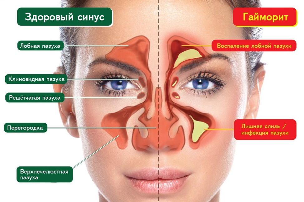 Почему происходит смена времен года?