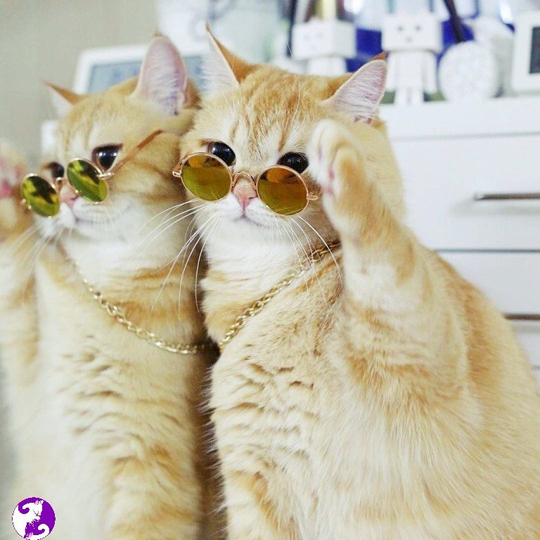 Источник: Yandex