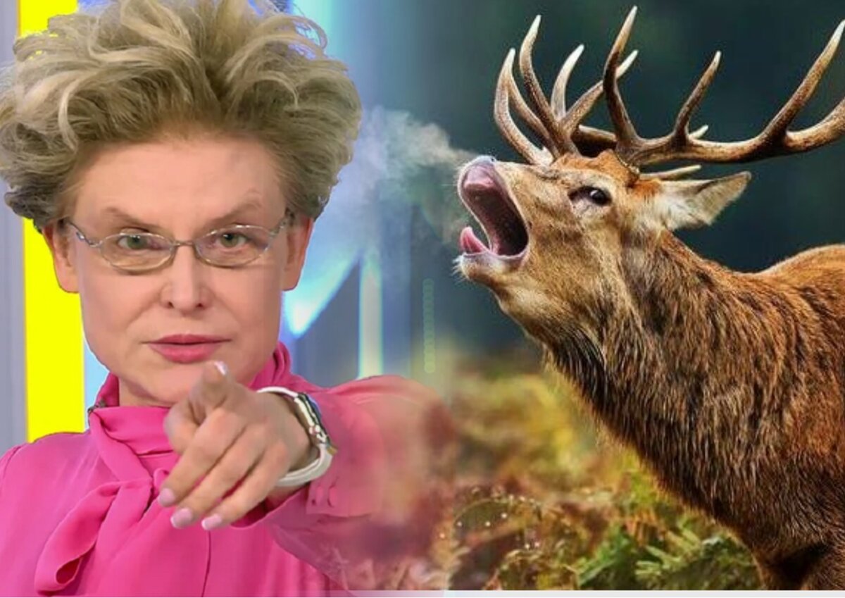 Малышева