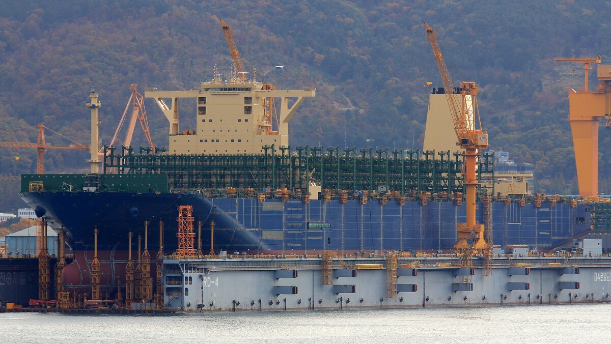 Shipsspotting.com Судно в доке.