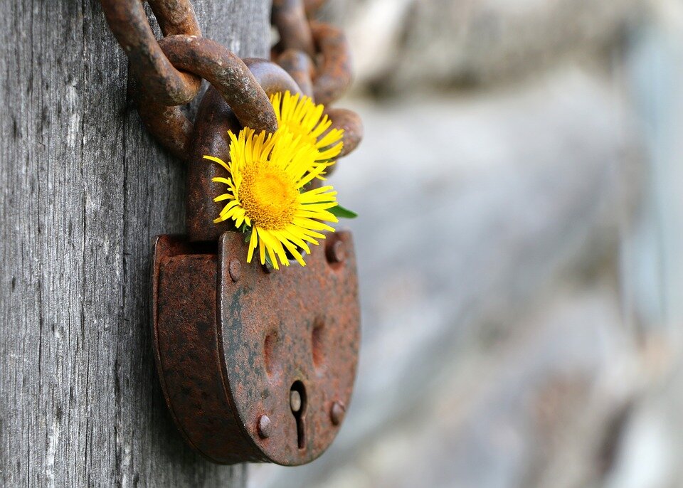 https://pixabay.com/ru/photos/замок-ржавый-закрыто-банк-сейф-1539474/