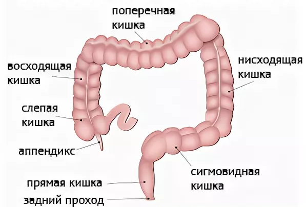 Читать онлайн «Тысяча и одна ночь. Сказки Шахерезады. Самая полная версия» – Литрес