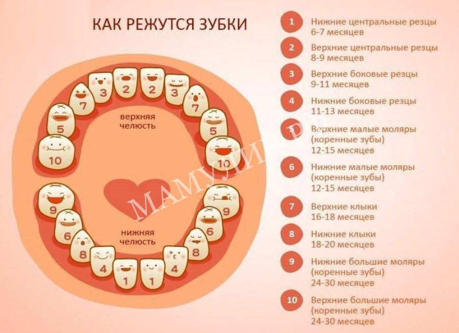 Температура при прорезывании зубов у малыша