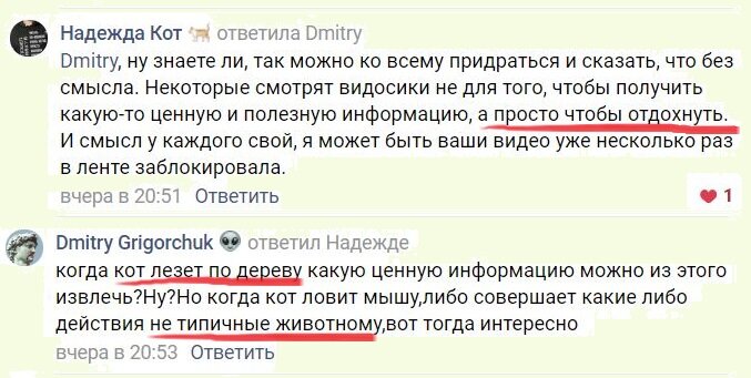 Кот Семен залез на высокое дерево и пытался поймать птичку. А потом почти прославился в Интернете