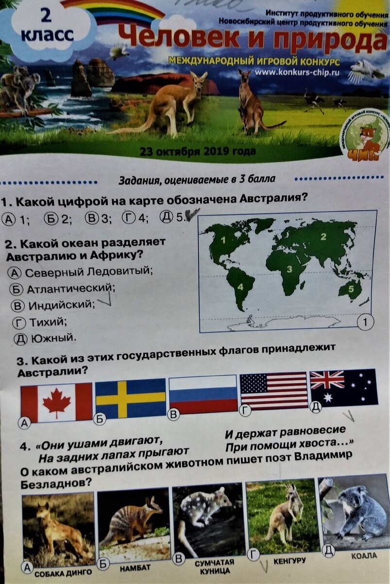 Как мы участвовали в дистанционных конкурсах в 1 классе | Ростляндия | Дзен