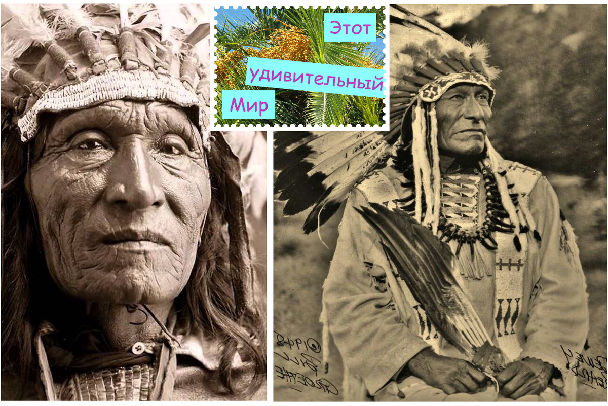 Подпишитесь на канал! Так Вы поможете развитию канала. Заранее спасибо!