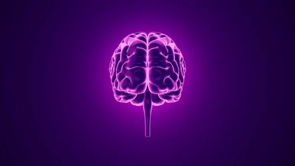 Тест на проверку ваших знаний. 