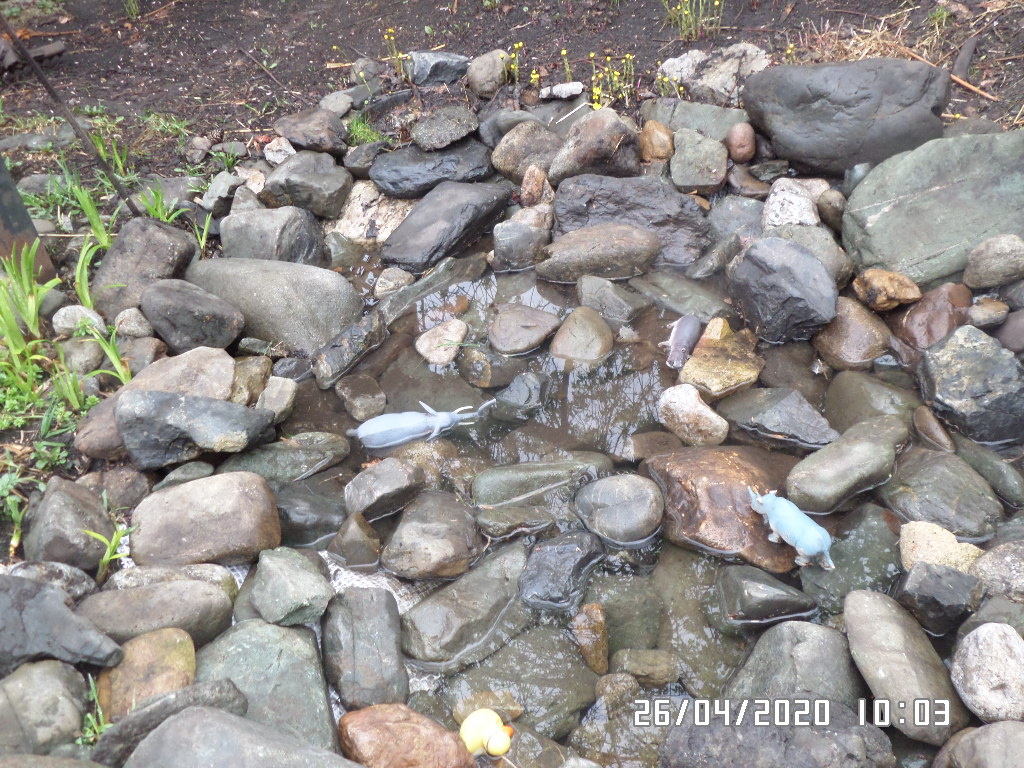 вот что у меня вышло