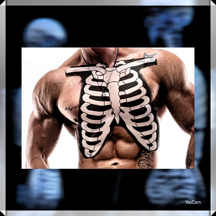 Источник: httpspixabay.com