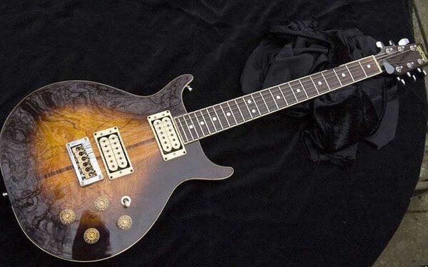 Washburn 22 series hawk.