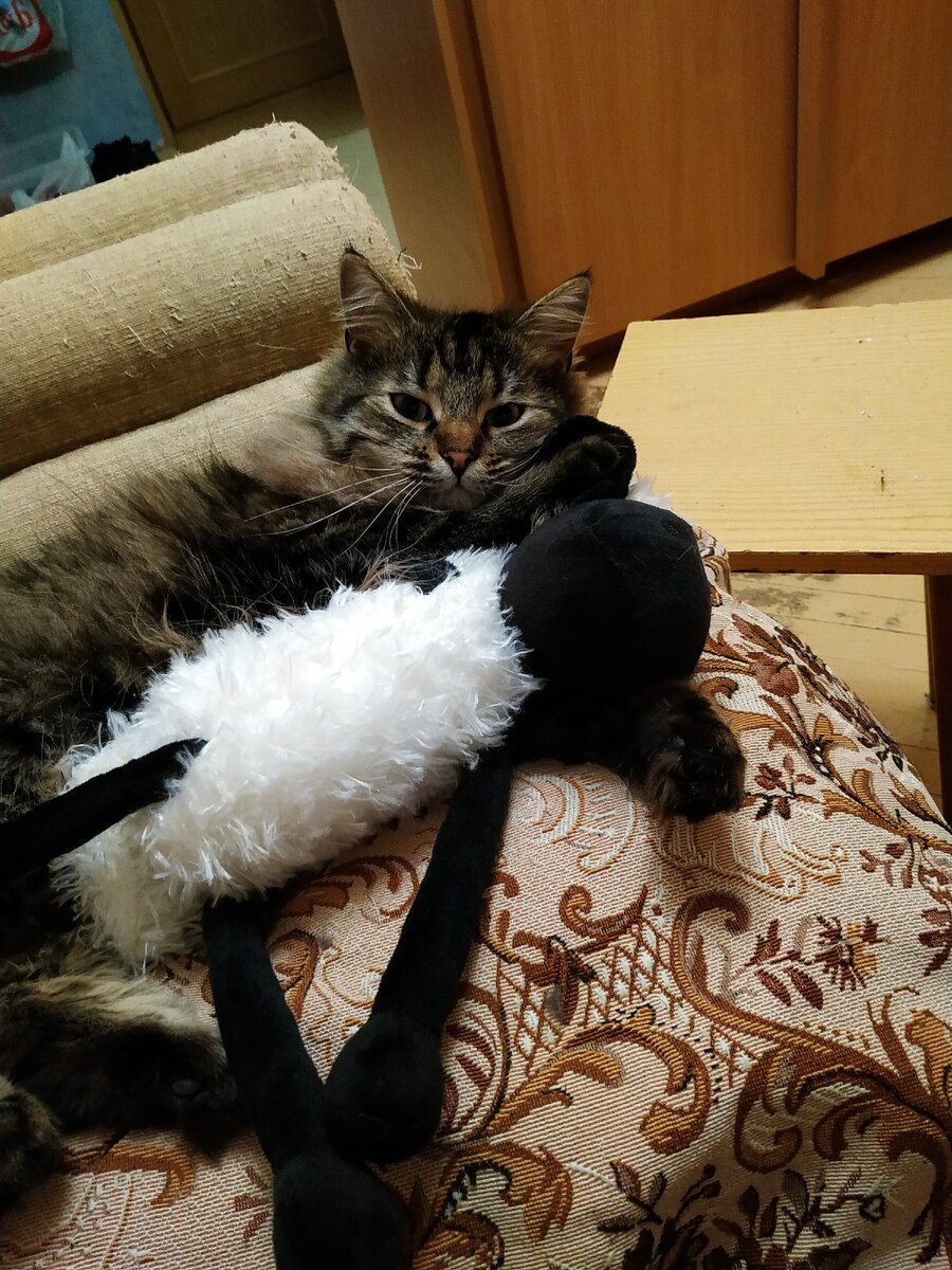 Кокос