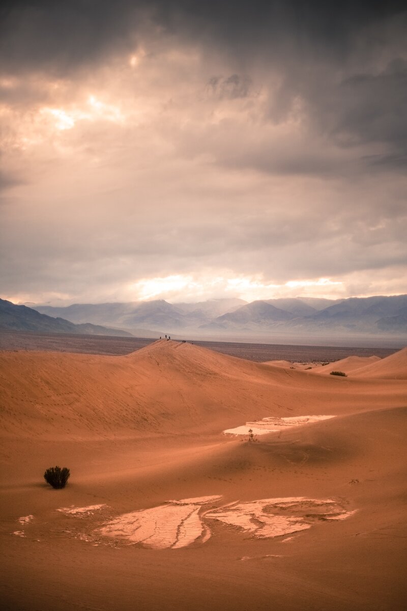 https://www.freestockimages.ru/desert?pgid=iyei9jdm-38a1161e-39e6-4e89-bc08-ca7309b8fab5
