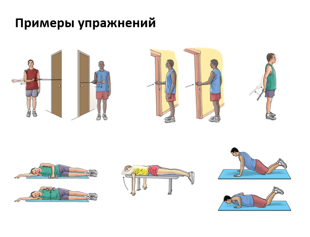 Гимнастика для лыжника: 5 упражнений для похудения и укрепления мышц | Аргументы и Факты