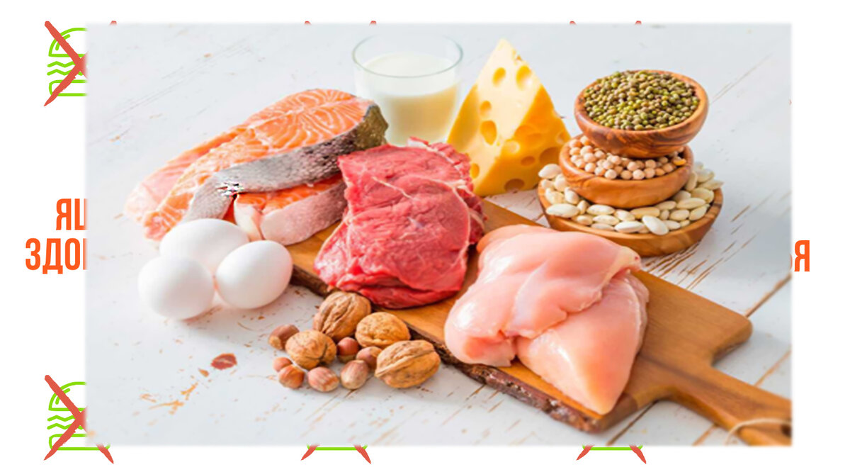 Сорока продукты. Продукты с белком для роста мышц.