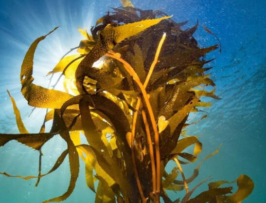 Источник  https://yandex.ru/images 