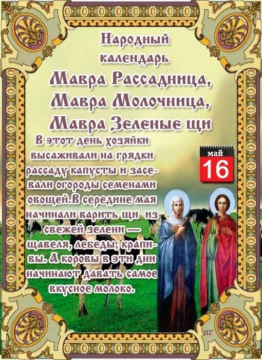Мавра Рассадница

Дата в 2020 году:16 мая

Другие названия: Рассадница; Мавра Молочница; Марфа молочная; молочницы; Мавра (Марфа) – зеленые щи; зеленые щи; Маврушка; коровьи заботницы; Мавра и Тимофей
Церковное название: Мученика Тимофея и мученицы Мавры
Значение: День памяти святой мученицы Мавры и ее супруга – мученика Тимофея, чтеца
Традиции: Посев и высадка рассады капусты; приготовление молочной каши, борща, щей

Народный праздник Мавра Рассадница отмечается 16 мая 2020 года (по старому стилю – 3 мая). В православном церковном календаре это дата памяти мученицы Мавры и ее мужа –  мученика Тимофея, чтеца. На Руси святую стали называть более привычным именем – Марфой.

Название «Рассадница» праздник  получил за то, что 16 мая считается благоприятным днем для посева и высадки в открытый грунт рассады капусты. «Молочным» день назвали в честь молока. К этому сроку коровы уже наедаются свежей сочной травы, отчего дают вкусное молоко. Название «Зеленые щи» день получил за зелень. В этот период она уже появляется на грядках и, соответственно, на столах, в так любимых на Руси борщах и щах.

История

Мавра жила в III веке в Фиваде Египетской. Она была язычницей. Вышла замуж за чтеца местной христианской церкви Тимофея. Влюбленные поженились в то время, когда повсеместно шли гонения на христиан императором Диоклетианом.

В 286 году на Тимофея донесли местному правителю Ариану. Его доставили к нему на суд. Тимофея арестовали. Обвинили в распространении чуждой язычникам христианской веры и хранении богослужебных книг.

Во время пыток к Тимофею пришла Мавра. Она добровольно признала себя христианкой и выразила желание разделить мучения с мужем. Правитель узнал об этом. Он  разъярился и приказал вырвать ей волосы и бросить в чан с кипятком. После многочисленных пыток Мавру и Тимофея распяли. Девять суток мученики провели на крестах, глядя друг на друга. На десятые Господь призвал их души к себе.

Традиции и обряды

В этот народный праздник сеют и высаживают в открытый грунт рассаду капусты. Чтобы защитить от вредителей, опрыскивают ее святой водой.

Готовят молочную кашу. Считается, что она прибавляет здоровья.

Готовят борщи и щи с зеленью.