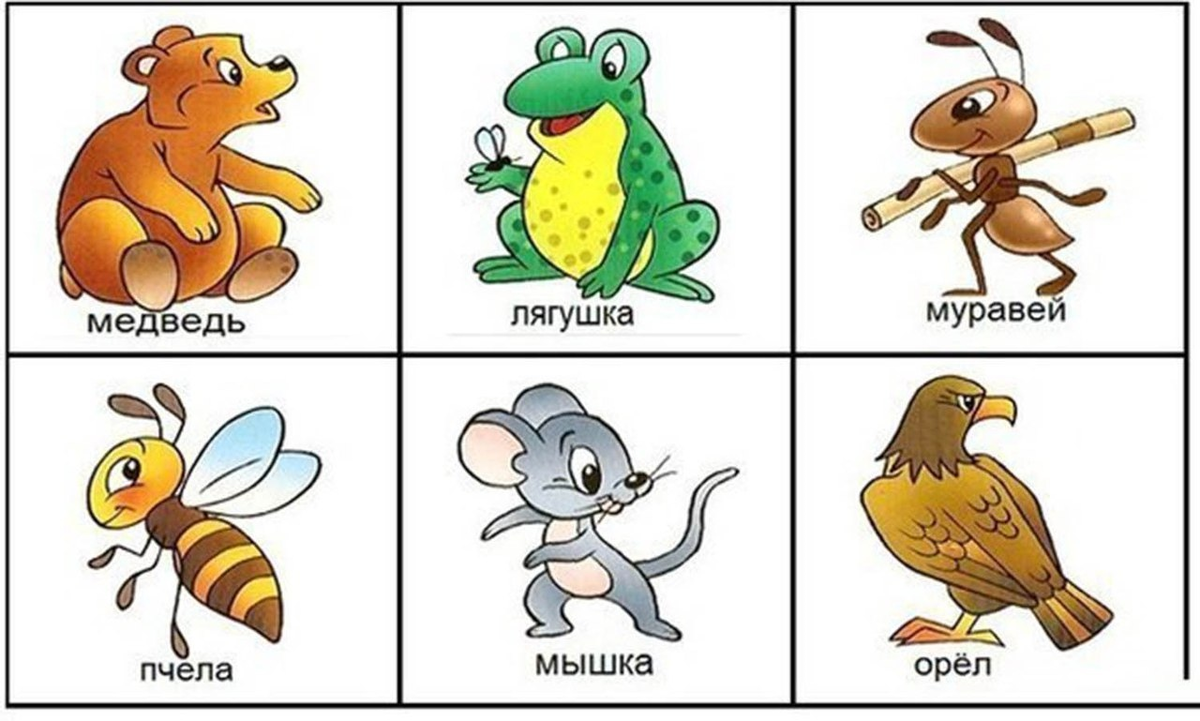Фотография взята с просторов Интернета, из свободных источников