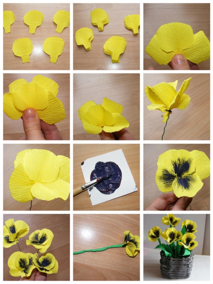 Домашние цветы с желтыми цветками — топ коллекция | pizzastr.ru