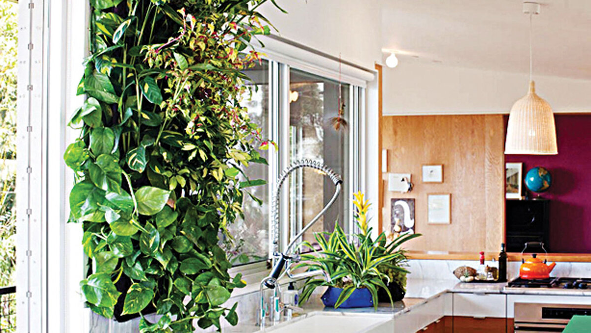 Фото: https://guardian.ng