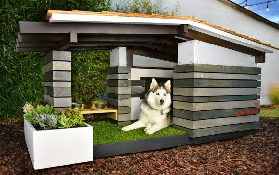 Будка для собаки своими руками: пошаговая инструкция создания жилья для пса