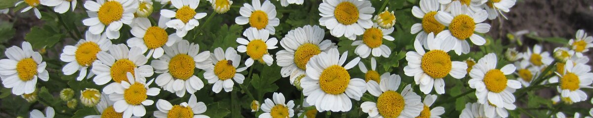 Ставьте палец вверх - это лучшая благодарность автору!