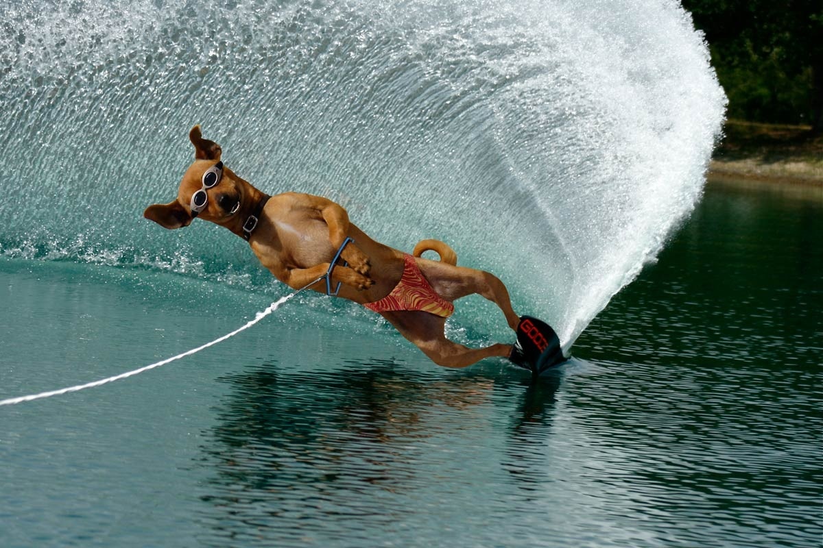 источник яндекс картинки