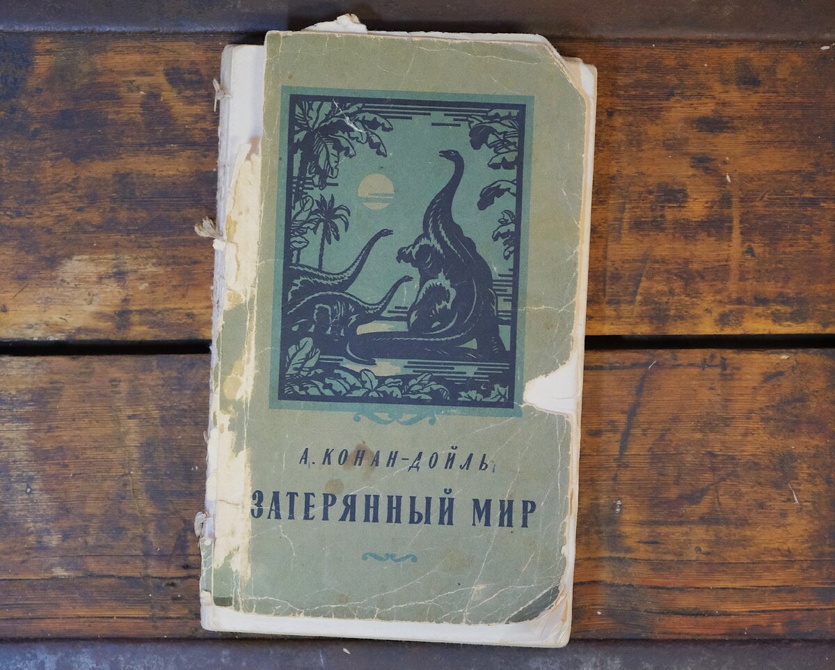 Фотография книги до реставрации.