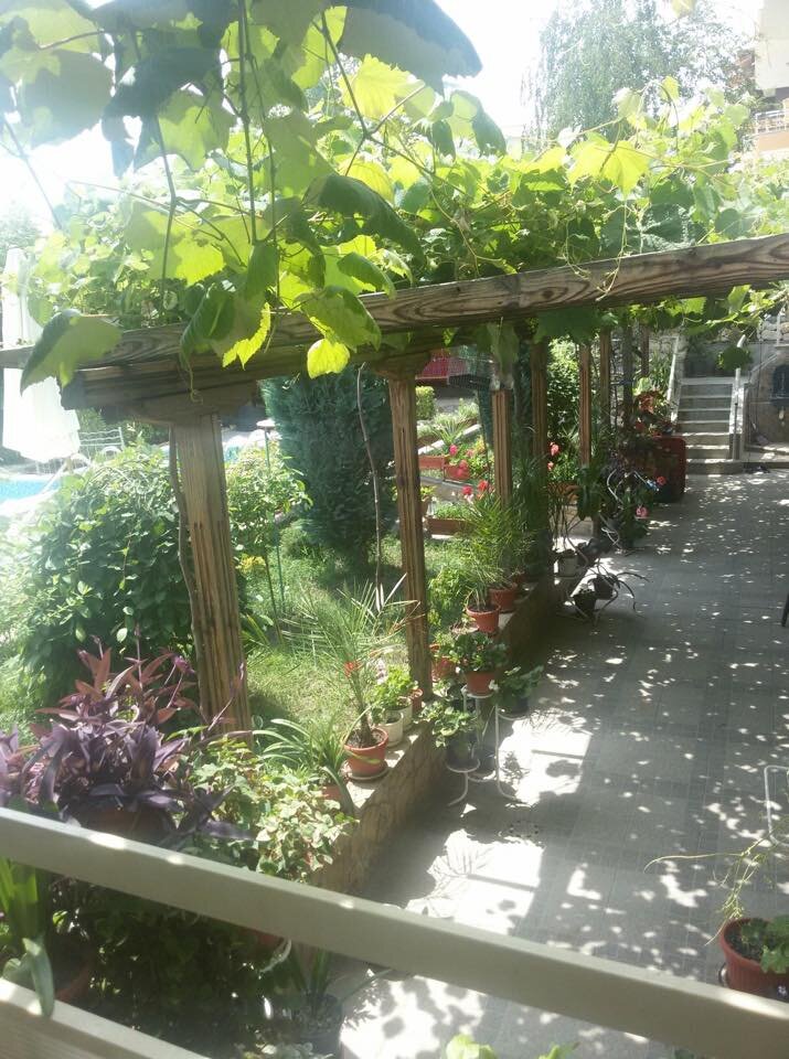 vila dinevi