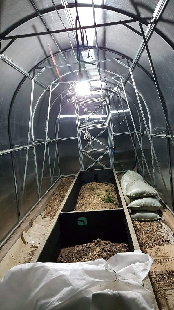 Моя огуречная теплица весной.