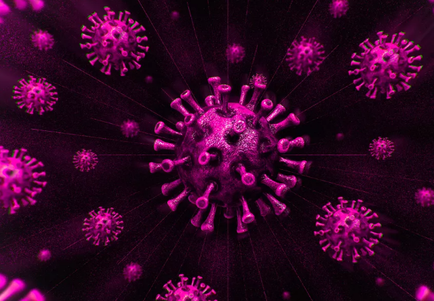 Наличие антител, выработанных организмом заболевшего человека, не всегда позволяет однозначно определить вероятность последующих заболеваний.