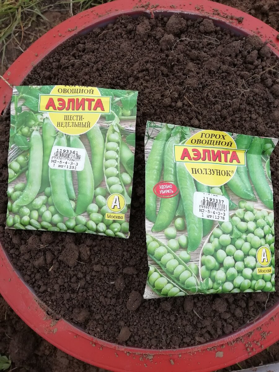 Взяла несколько семян гороха, из обоих пакетиков, листайте...