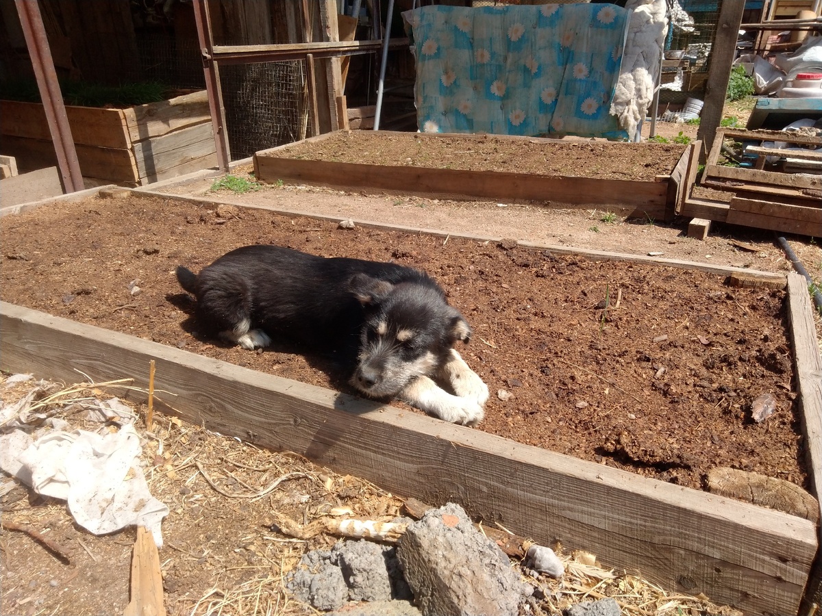 Как хорошо прилечь на грядке