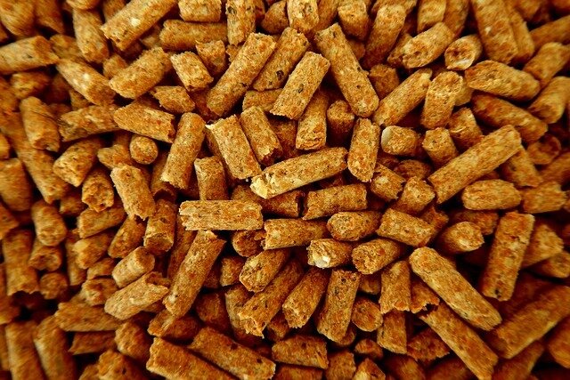 Источник фото: pixabay.com