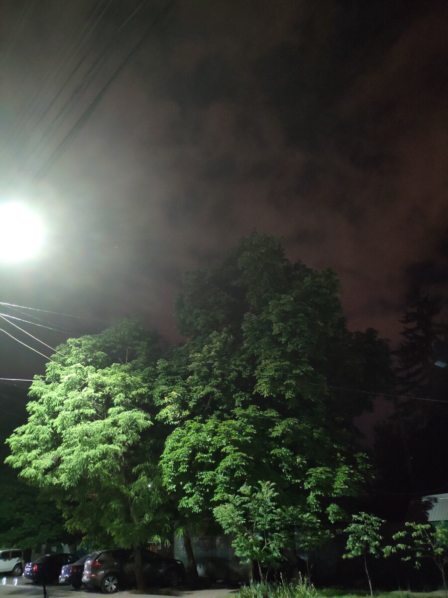 Моя весна 2020