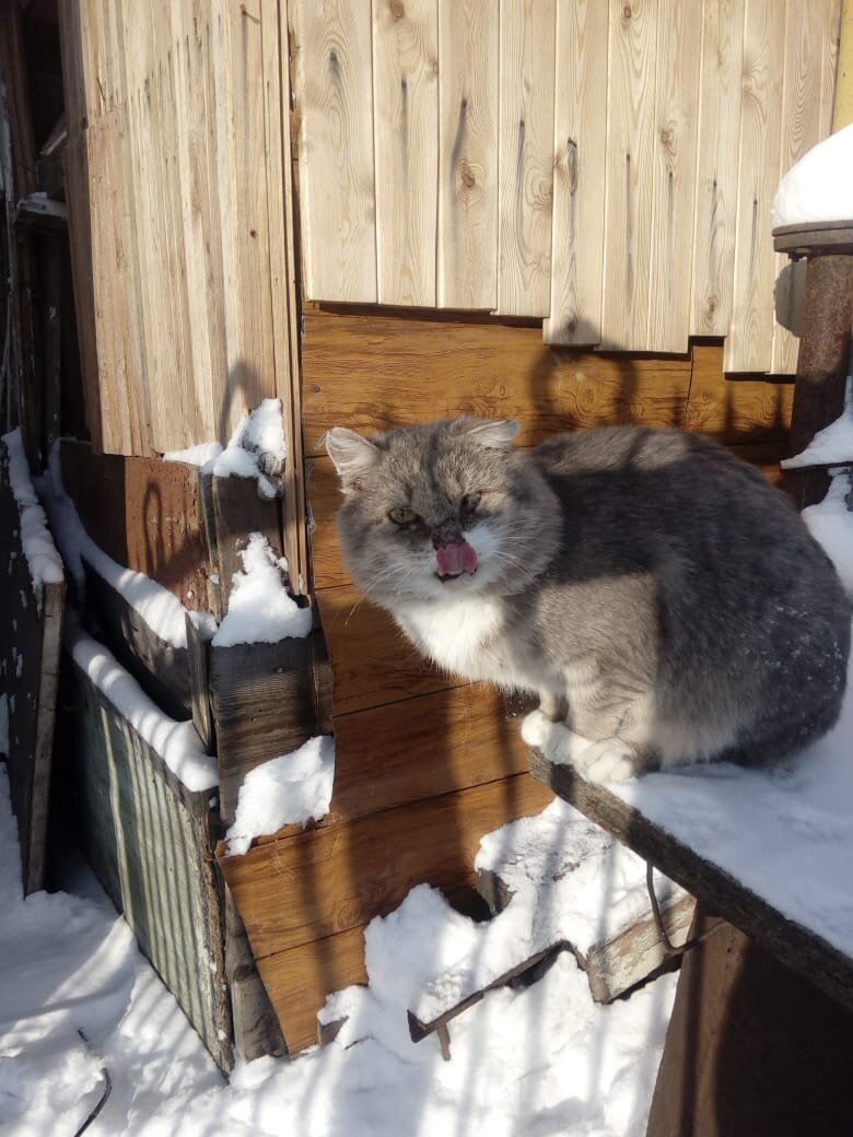 Смотрит прямо в душу