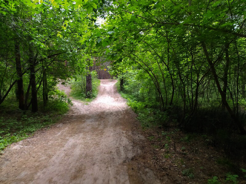 Дальше в бор.